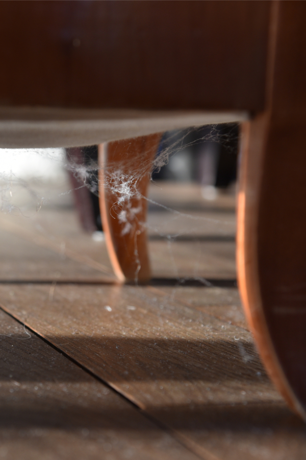 spider webs under a chair