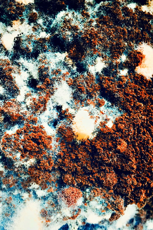 moldy coffee grounds