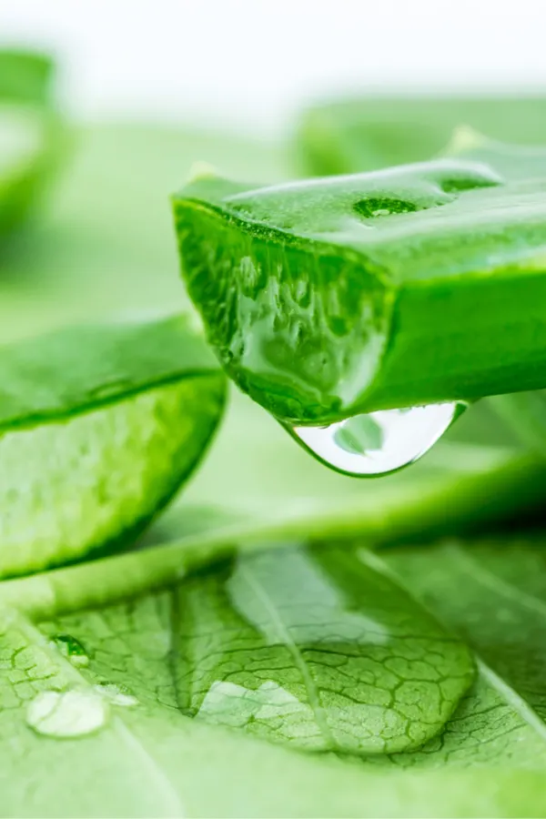 aloe vera gel