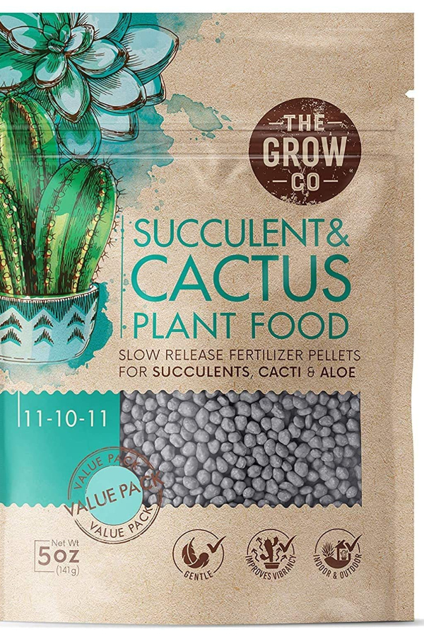 succulent and cacti food