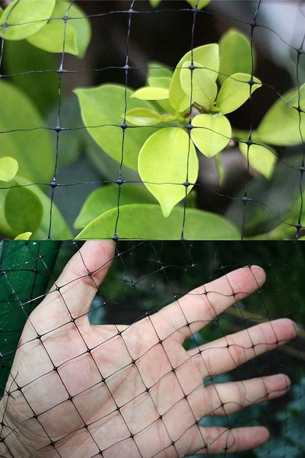 netting to protect plants
