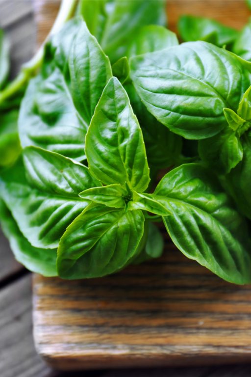 How To Grow Basil Indoors The Simple Secrets To Growing Basil Inside!