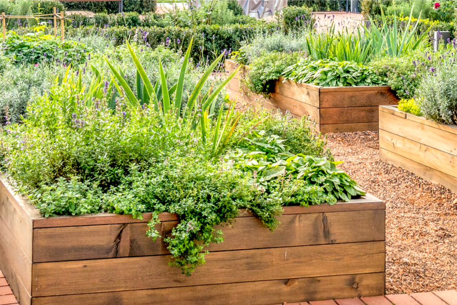 How to build raised beds from wood