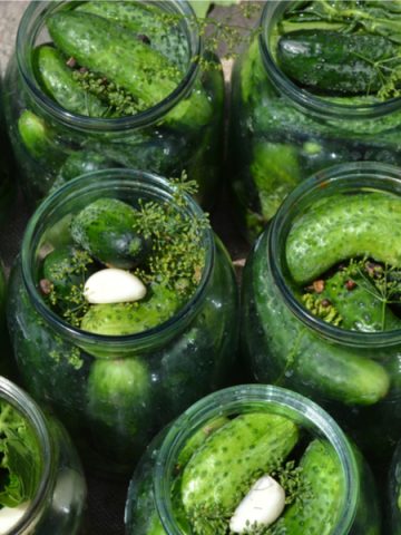 best cucumbers for making pickles
