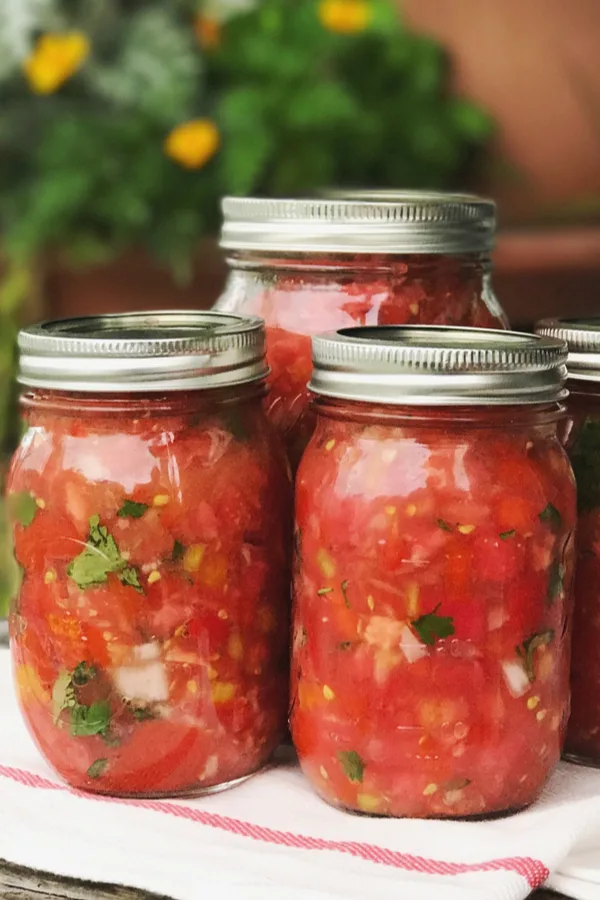 homemade canned salsa