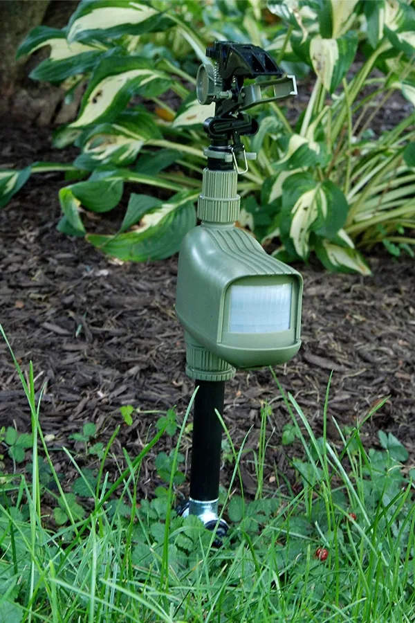 motion sprinkler