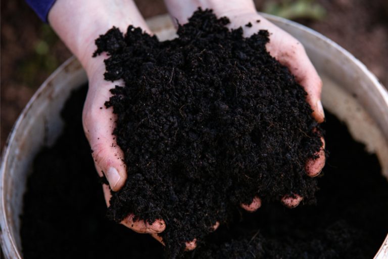 5 essentail garden supplies