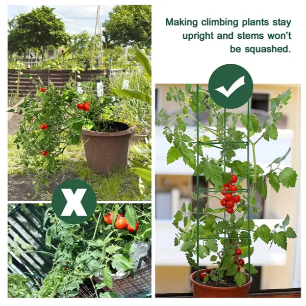 best tomato supports - how to support your tomato crop