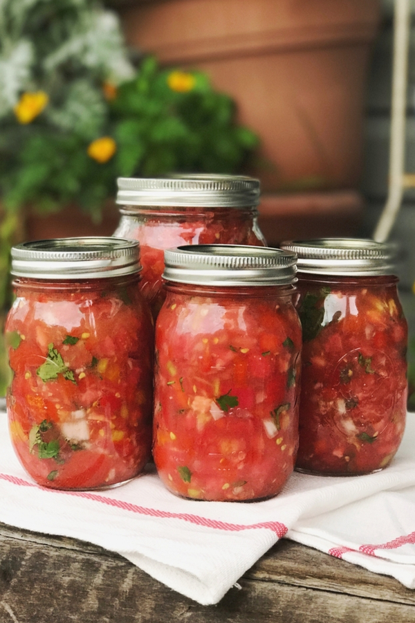 salsa fresh from the garden