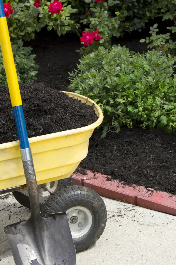 essential garden supplies - mulch