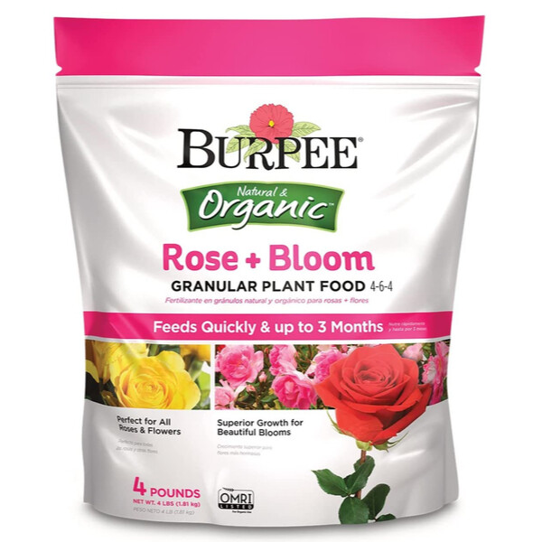 fertilizer for roses - keep climbing roses blooming
