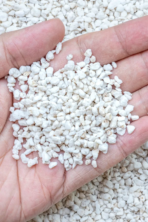 How To Use Perlite To Create Better Soil & Grow Healthier Plants!