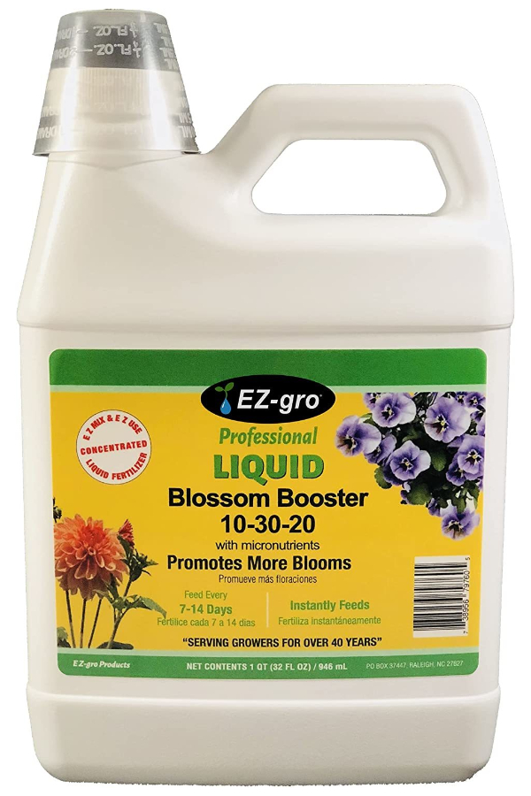 bloom booster - fertilizing hydrangeas