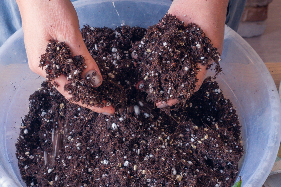 How To Create The Best Potting Soil For Potted Plants & Hanging Baskets!