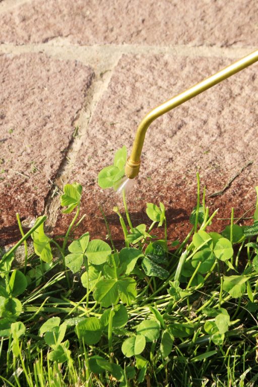 How To Use Horticultural Vinegar To Kill Weeds Stop Weeds Naturally!