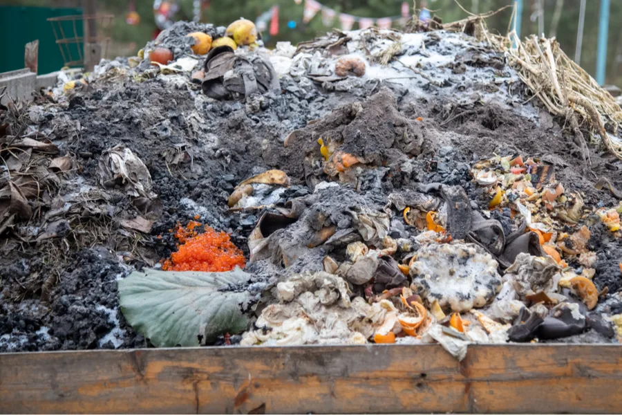 common composting mistakes