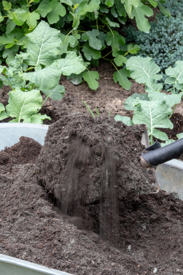 using compost in the garden