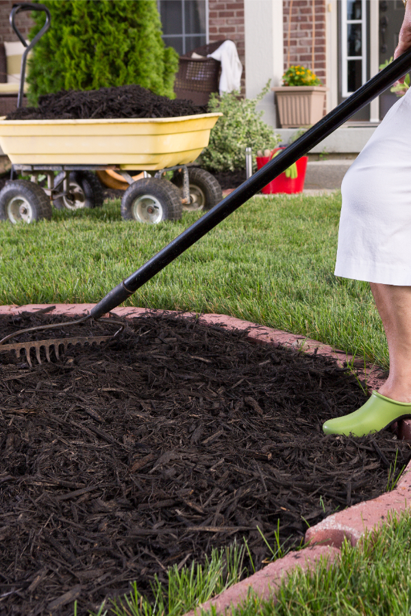raking mulch - how to mulch flowerbeds to stop weeds