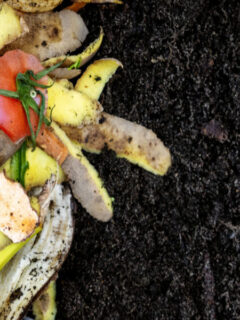 how to make great compost