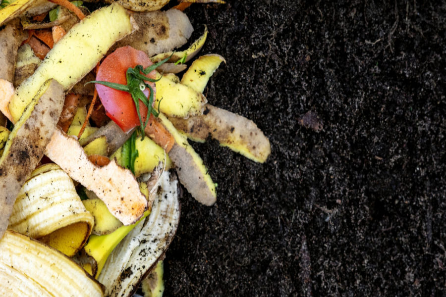 how to make great compost