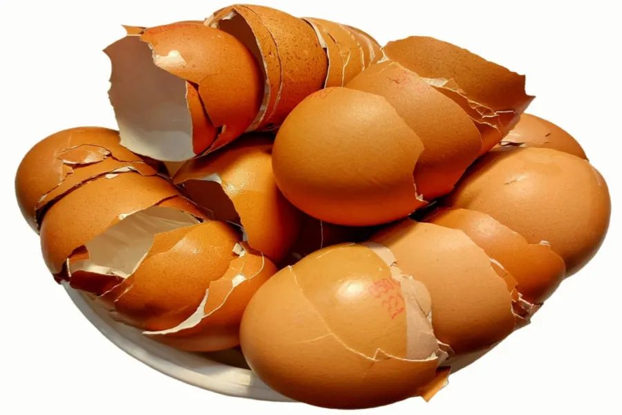 save and store egg shells safely