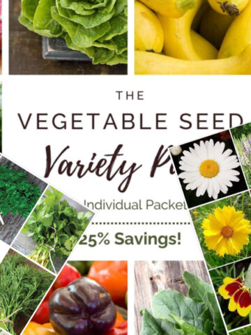 best garden seed catalogs