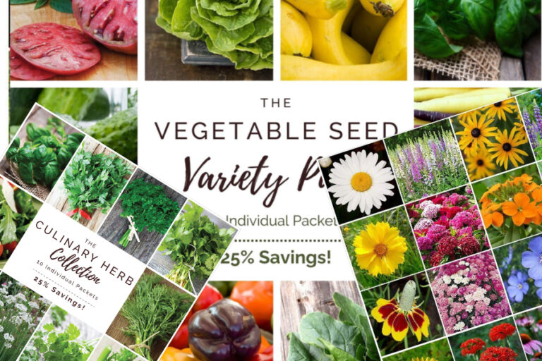 best garden seed catalogs