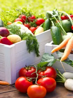 grow your groceries - plan a garden