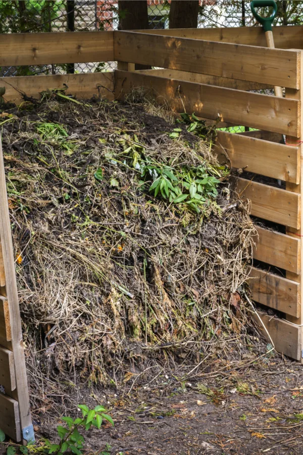 spring compost pile