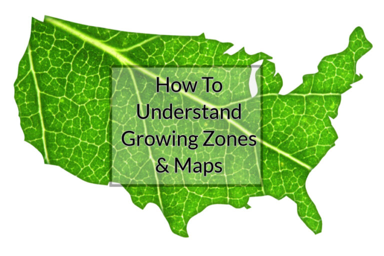 Understanding Growing Zones & Frost Dates - How To Plant Smart!