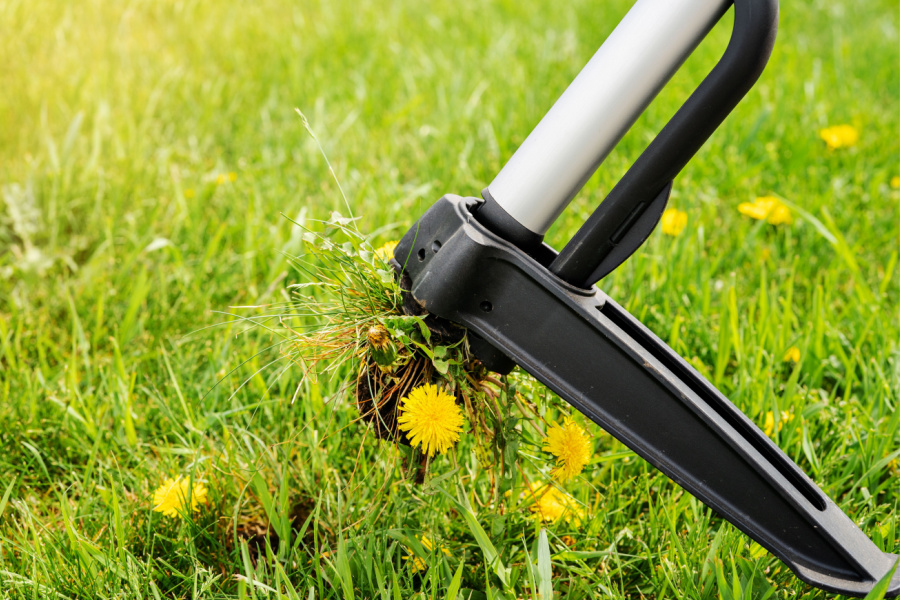 3 Must Have Garden Hand Tools That Make Gardening Easier!