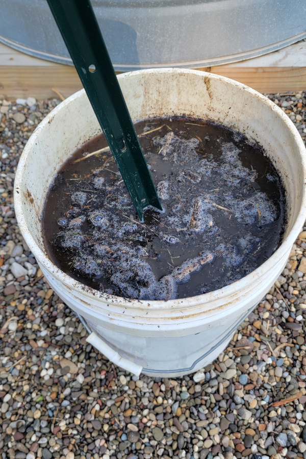 compost tea brewing - power plants naturally