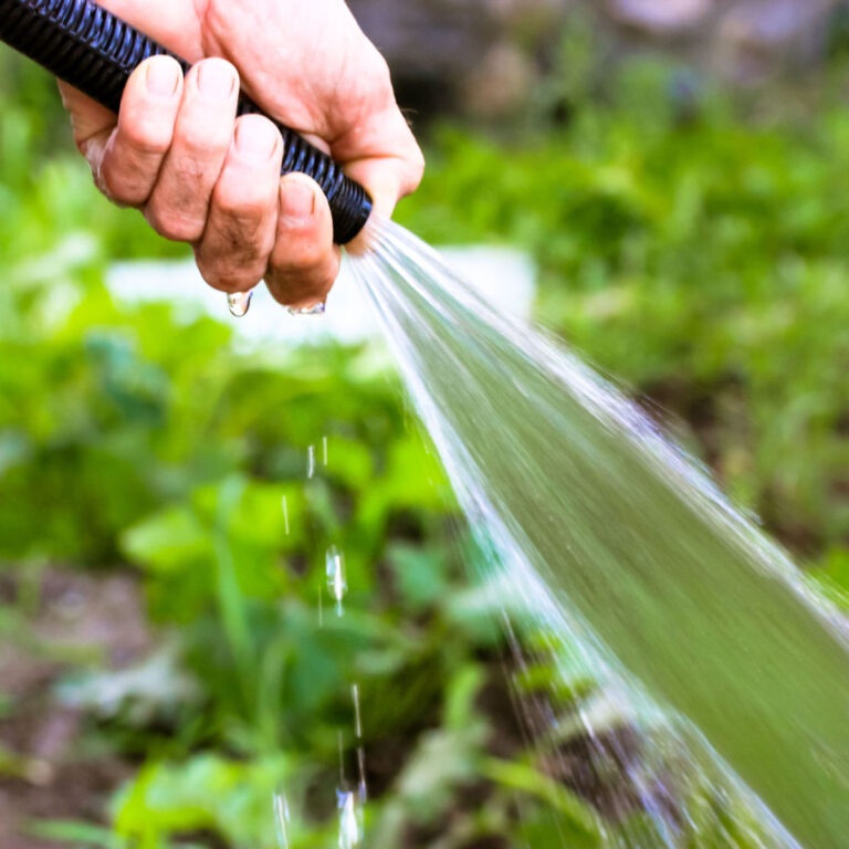 The 3 Biggest Garden Watering Mistakes And How To Avoid Them!