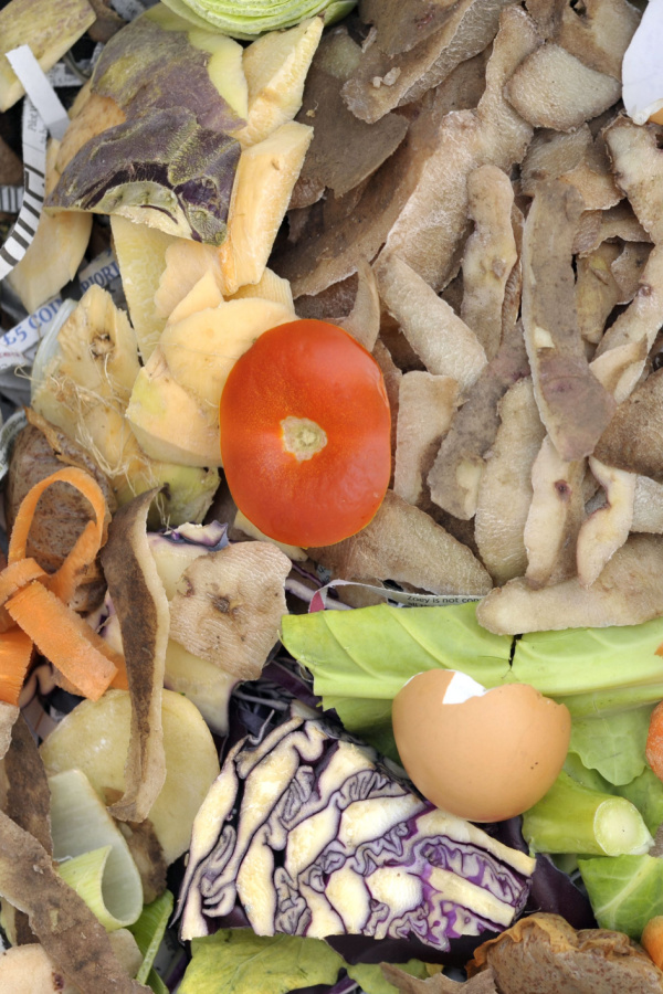 A pile of kitchen scraps that can be added to compost piles. 