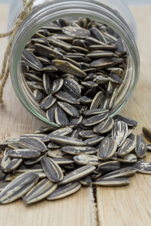 A jar of sunflower seeds tipped over on a wooden table.