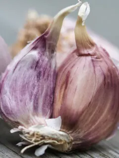 planting fall garlic