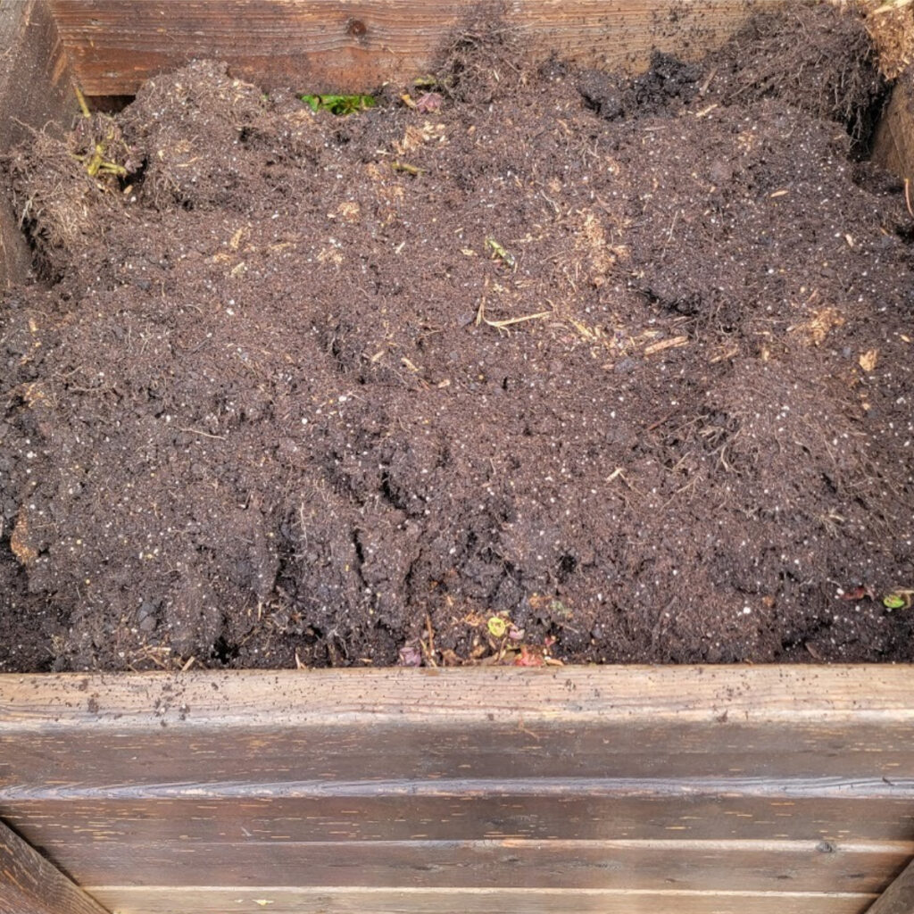 compost used potting soil