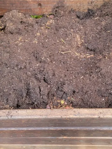 compost used potting soil