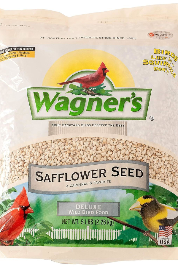 safflower seeds for birds - squirrels and bird feeders