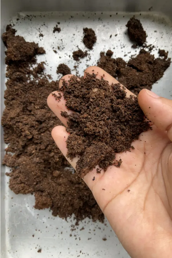A hand holding used coffee grounds.