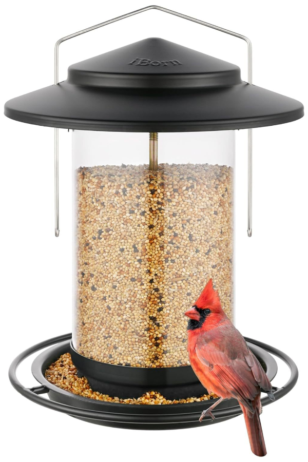 how to feed cardinals in winter