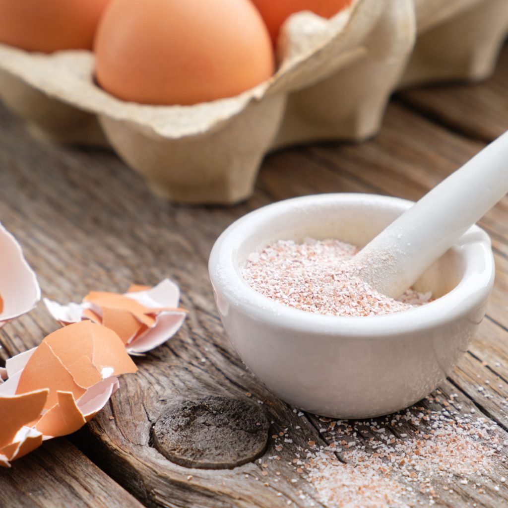 egg shell powder