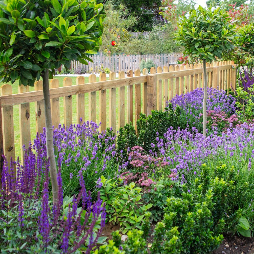best drought resistant flowering perennials
