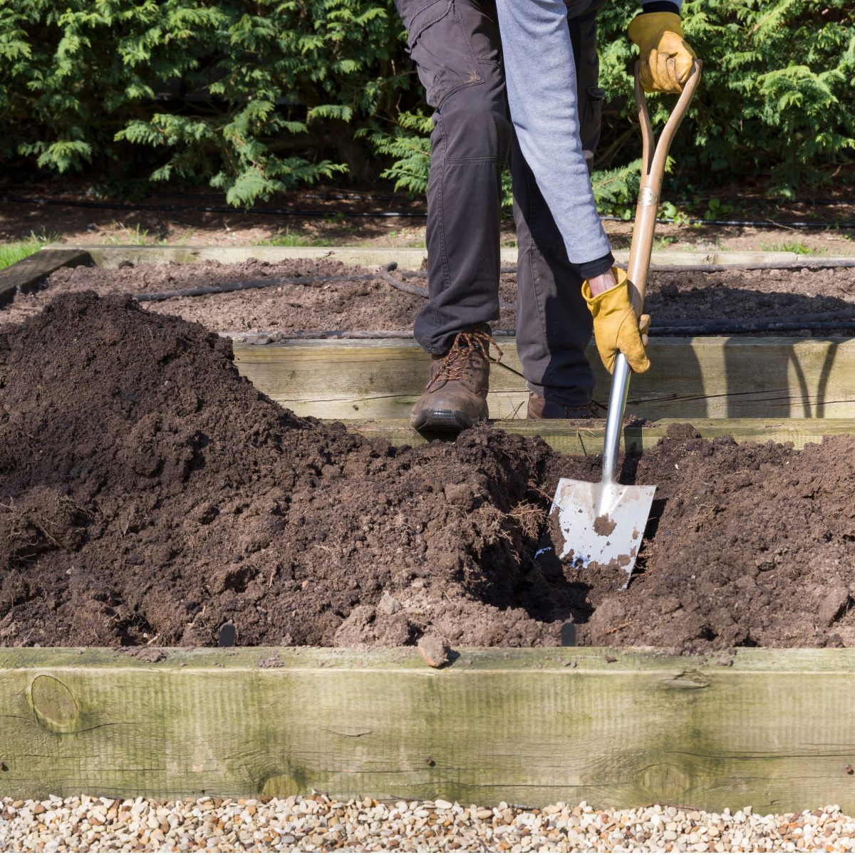 how-to-create-great-raised-bed-soil-4-must-have-ingredients