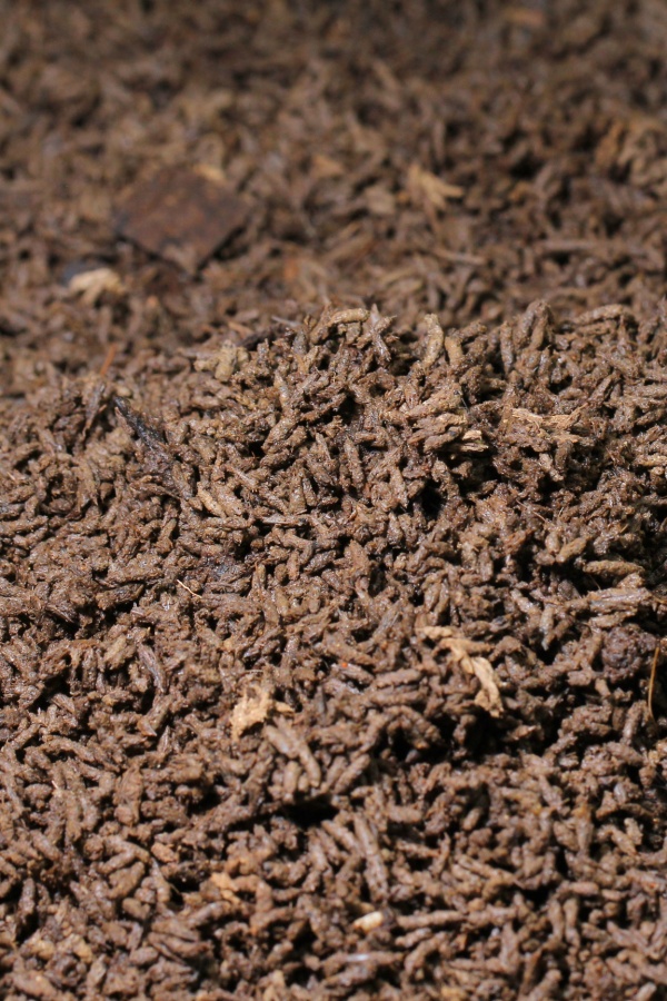 A pile of worm castings