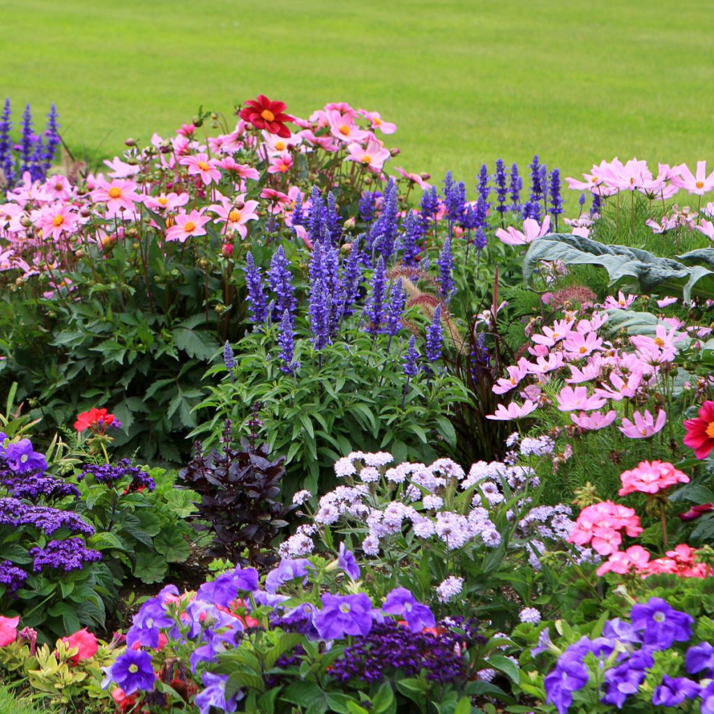 keep flowerbeds weed free - secrets