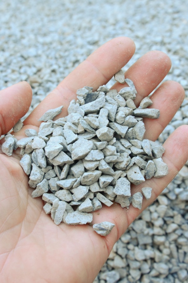 A hand holding gravel - How to stop voles