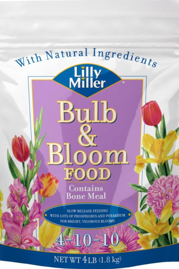 bulb and bloom food