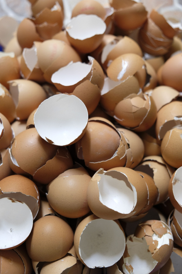 egg shells calcium