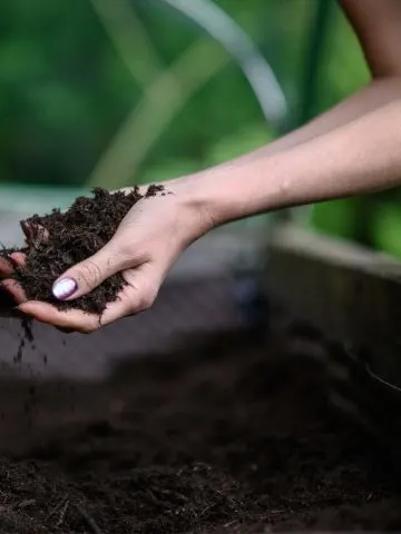 how to fertilize raised beds